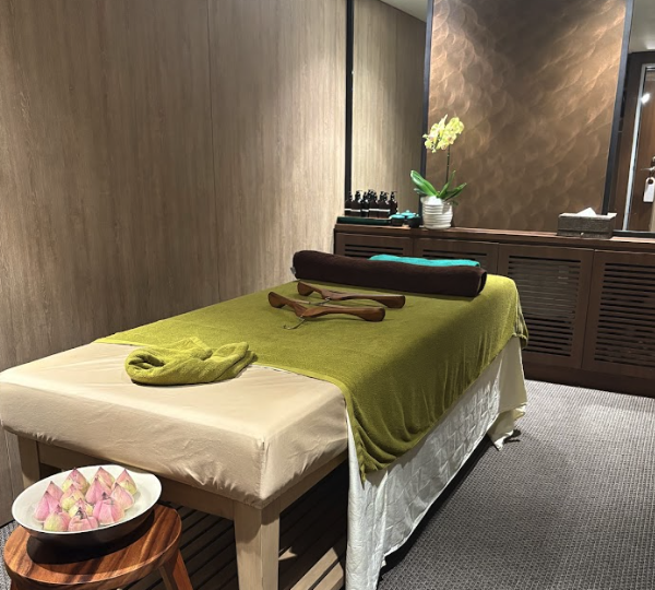 Emerald Mekong River Cruise Wellness Spa